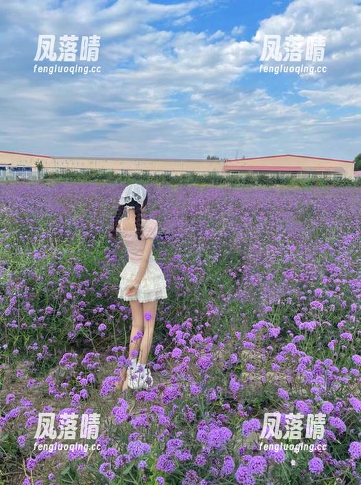 五一吃瓜 五一吃瓜最新更新,娜娜的日子已经迷失在镜头里!