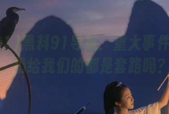 黑料91导航：重大事件的背后，扔给我们的都是套路吗？