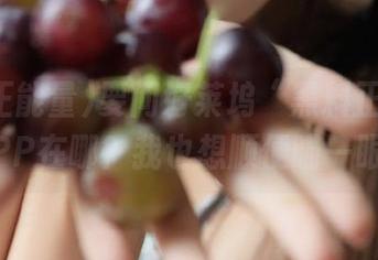 要问好莱坞“黑料正能量”APP在哪？我也想顺便瞄一眼！