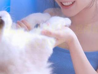 给我下载黑料社，这网站到底藏着多少瓜呢？
