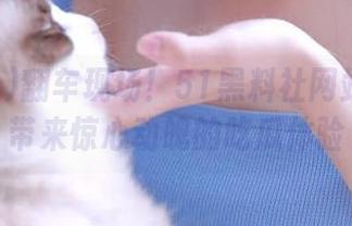 翻车现场！51黑料社网站会给你带来惊心动魄的吃瓜体验